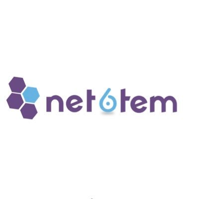 NET6TEM