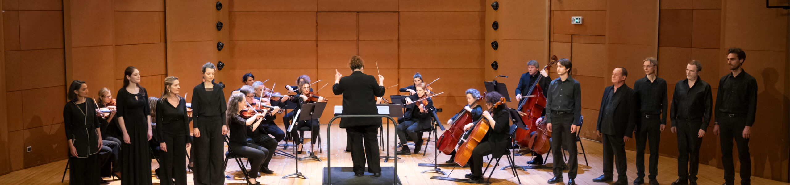 solli tutti banner web